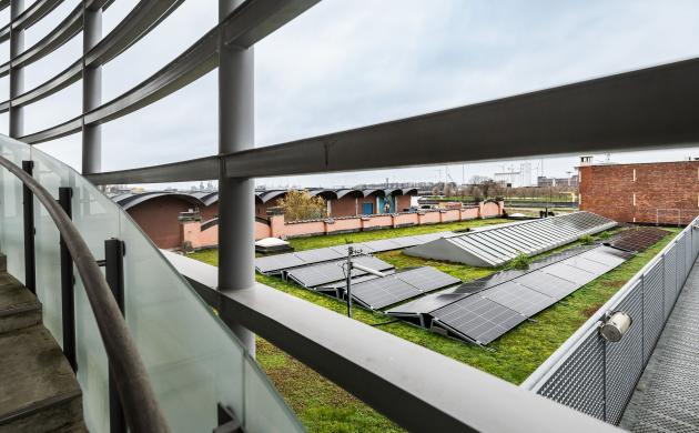 Foto van het groendak met zonnepanelen